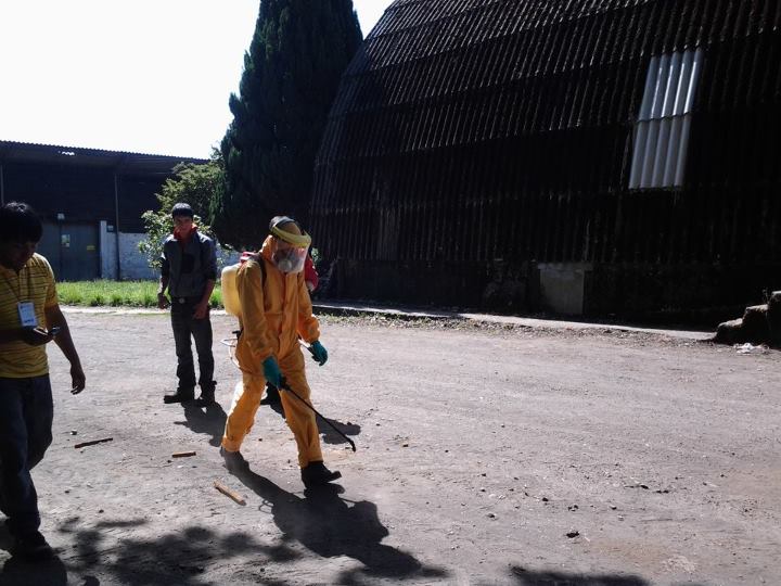 Plaguicidas Oct 2011